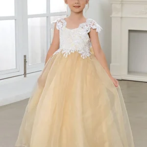 Robe De Ceremonie Champagne