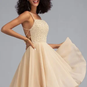 Robe Patineuse Champagne