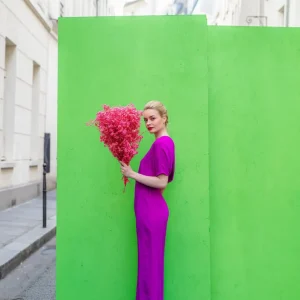 La Persuasive violet