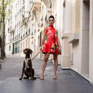 L'Insolente imprimée